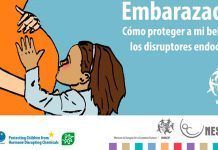 Embarassada: com protegir al teu nadó dels contaminants hormonals embarazada disruptores