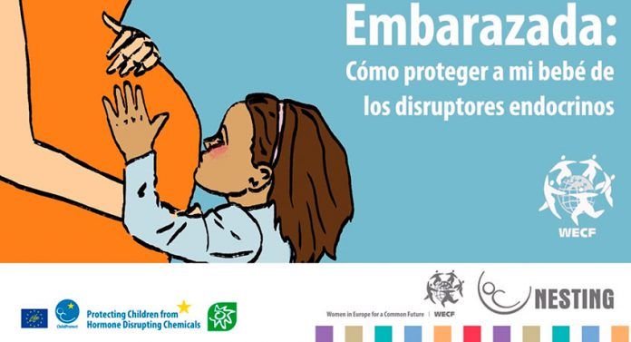 embarazada disruptores