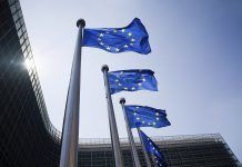 El Brexit és una mala notícia per al medi ambient a Europa european flags xlarge