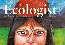 La FNB contra el PIB: un The Ecologist por la eco-nomía del bien común the ecologist 66