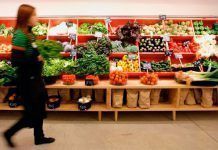 Alemania ecológica: El resumen de una consumidora ALEMANIA ECOLOGICA