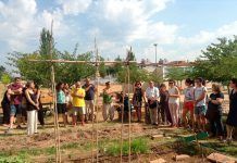 Submarino Lila: Ganador del Premio Escuela, Agricultura y Alimentación Ecológica HUERTOS ESCOLARES JORNADA
