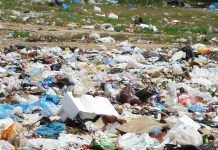 Las bolsas de plástico, un problema con solución bolsas de plastico