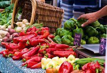 Primera compra colectiva nacional de productos ecológicos coincidea
