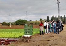 Del aula al huerto. La creación de una cooperativa delaulaalhuerto