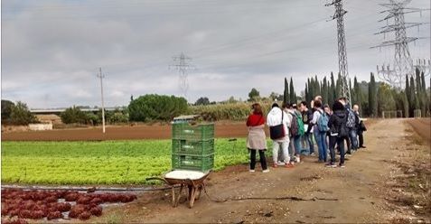 delaulaalhuerto delaulaalhuerto