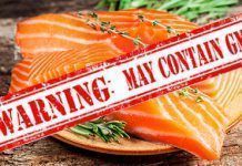 Animals are not an invention of the feed industry! gmo food salmon fish 735 255