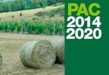 La PAC no está supliendo los bienes públicos prometidos pac 14 20