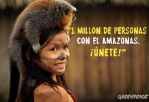 Pide a Siemens que no destruya el corazón de la Amazonia siemens amazonas
