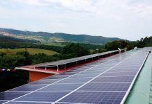 Vegetalia reduce un 20% su consumo eléctrico de la red gracias al autoconsumo fotovoltaico vegetalia solar
