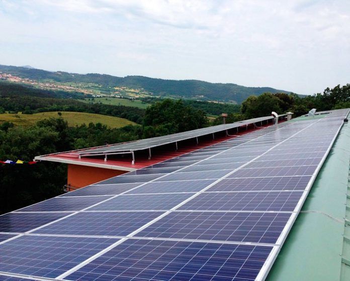 vegetalia solar