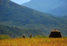 Bhutan será el primer país del mundo en permitir sólo la agricultura ecológica La agricultura ecológica es la clave para combatir la degradación de los suelos