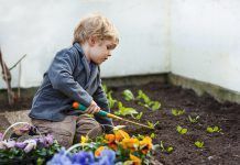 Agroecología y Educación. Una necesidad urgente Agroecología y educación