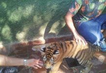 Infozoos alerta de las pésimas condiciones del zoo de Castellar, uno de los peores de toda España image004