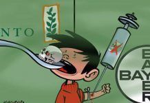 Monsanto accepta oferta de Bayer i ambdues controlaran el mercat mundial de pesticides i llavors monsanto bayer oficial
