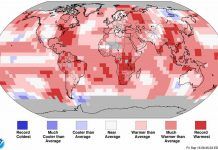 El mes de agosto supera el récord mundial de calor, según la NOAA noaa