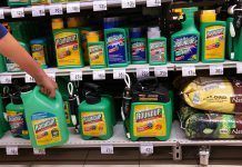 De la prohibición del glifosato a la reducción por ley del uso de pesticidas roundup articulo marta octubre