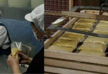 Diario del viaje a Japón: 21 de mayo, visita al proveedor de shiro miso y genmai miso de TerraSana shiro miso