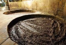 Diario del viaje a Japón: 23 de mayo de 2016: visita a la fábrica de shoyu de TerraSana shoyu recien removido terrasana
