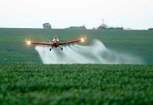 «En Agroecología no caben los transgénicos” The organic movement calls to maintain and correctly implement the GMO legislation