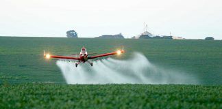 The organic movement calls to maintain and correctly implement the GMO legislation The organic movement calls to maintain and correctly implement the GMO legislation