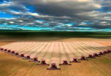Los impactos del TTIP en el sector agroalimentario español agricultura industrial informe ttip