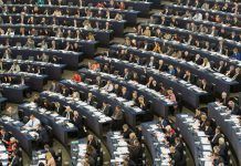 EU Parliament objects to new GMO authorisations parlamento ue