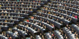EU Parliament objects to new GMO authorisations parlamento ue