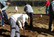 Asociación Vida Sana y Fundación Triodos presentan a los ganadores del 3r Premio Nacional Huertos Educativos Ecológicos premio nacional huertos educativos ecológicos Efeverde