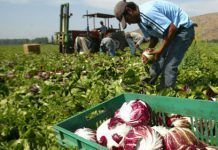 Uruguai aposta per adaptar la seva agricultura al canvi climàtic agriculture climate change
