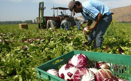 Uruguay apuesta por adaptar su agricultura al cambio climatico large agriculture climate change
