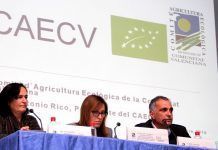 El CAECV, un Comité que avanza caecv reunionanual nov16
