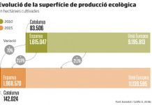 La producción ecológica aumenta un 70% en cinco años en Cataluña evolucion produccion eco cat diariara
