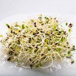Germinados