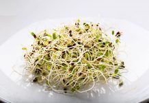 Germinats, veritables superaliments! Per Raúl Martínez Germinados superalimentos