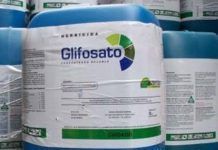 Argrentina: El 90% de los análisis de orina muestra glifosato en el cuerpo de los estudiados. glifosato orina argentina web
