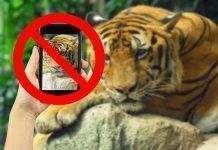 Zoos sí, zoos no: ¿una cuestión léxica? ojo critico zoos