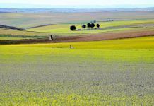 Agricultores… y guardianes de la última biodiversidad de Europa th 1cce678baa2865fe866ba90e481edd63 AGRICULTURA 11