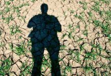 Casi 50% de territorio español podría ser incultivable en 2040 th 1cce678baa2865fe866ba90e481edd63 suelo árido archivo Efeverde web