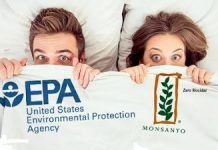 L’EPA aprova un altre herbicida tòxic de Monsanto La EPA aprobo otro herbicida toxico de Monsanto large