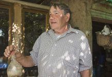 Linaje de campesino: de los pesticidas a la ecología Nissaga pages dels pesticides lecologia