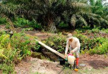 Así es la industria del aceite de palma en Indonesia: trabajo infantil, discriminación y contaminación aceite de palma indonesia carro de combate