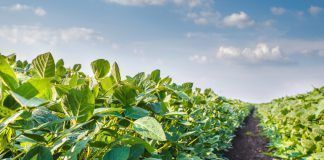 Review of the EU organic regulation failed nuevo reglamento ue