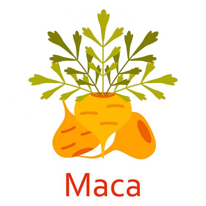 maca superalimento