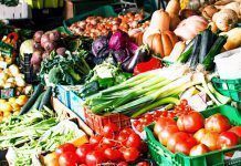 “El Casino del Hambre” denuncia el papel criminal de la especulación como una de las causas principales del hambre en el mundo alimentos locales 2