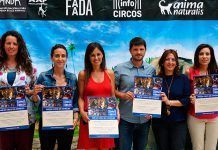InfoCircos celebra un 2016 lleno de éxitos hacia el fin de los circos con animales anda infocircos 28 12 2016
