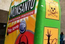 Una sentencia obliga a hacer pública la “información confidencial” sobre plaguicidas monsanto welove ttip1 web