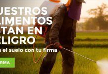 25.000 ciudadanos europeos ya han firmado la petición People4Soil para proteger nuestro alimento, salud y naturaleza people4soil 6 12