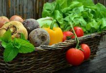 Strong disagreement among EU agriculture ministers on organic regulation review – new start needed vegetables 752153 1 870x400