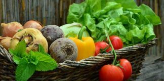 Strong disagreement among EU agriculture ministers on organic regulation review – new start needed vegetables 752153 1 870x400